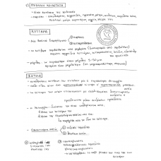 ANATOMIA I 